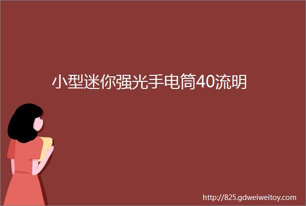 小型迷你强光手电筒40流明